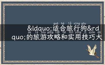 “适合旅行狗”的旅游攻略和实用技巧大揭秘