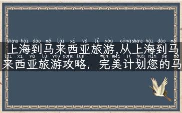 上海到马来西亚旅游,从上海到马来西亚旅游攻略，完美计划您的马来之旅