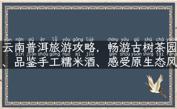 云南普洱旅游攻略，畅游古树茶园、品鉴手工糯米酒、感受原生态风情！