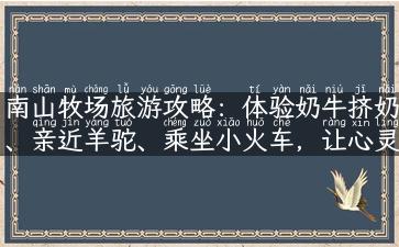 南山牧场旅游攻略：体验奶牛挤奶、亲近羊驼、乘坐小火车，让心灵逐渐宁静与安逸！