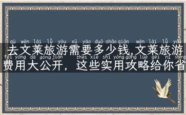 去文莱旅游需要多少钱,文莱旅游费用大公开，这些实用攻略给你省下不少钱！