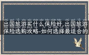 出国旅游买什么保险好,出国旅游保险选购攻略-如何选择最适合的旅行保险？