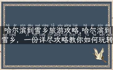 哈尔滨到雪乡旅游攻略,哈尔滨到雪乡，一份详尽攻略教你如何玩转北国冰雪之旅