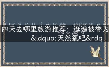 四天去哪里旅游推荐：逛遍被誉为“天然氧吧”的贵州旅游景区