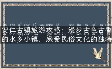 安仁古镇旅游攻略：漫步古色古香的水乡小镇，感受民俗文化的独特魅力！