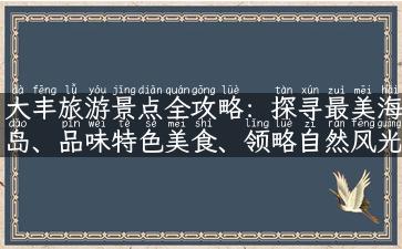 大丰旅游景点全攻略：探寻最美海岛、品味特色美食、领略自然风光和人文风情！