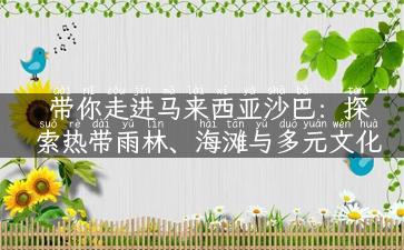 带你走进马来西亚沙巴：探索热带雨林、海滩与多元文化