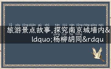 旅游景点故事,探究南京城墙内“杨柳胡同”的故事