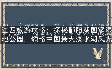 江西旅游攻略：探秘鄱阳湖国家湿地公园，领略中国最大淡水湖风光。