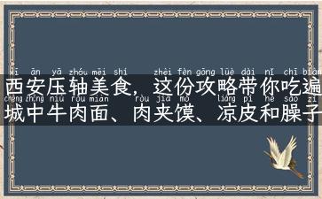 西安压轴美食，这份攻略带你吃遍城中牛肉面、肉夹馍、凉皮和臊子面！