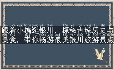 跟着小编逛银川，探秘古城历史与美食，带你畅游最美银川旅游景点！