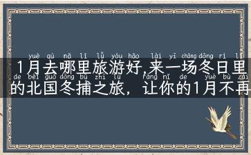 1月去哪里旅游好,来一场冬日里的北国冬捕之旅，让你的1月不再寂寞！