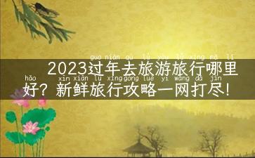 2023过年去旅游旅行哪里好？新鲜旅行攻略一网打尽！