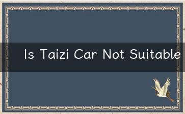 Is Taizi Car Not Suitable for Traveling An Investigation